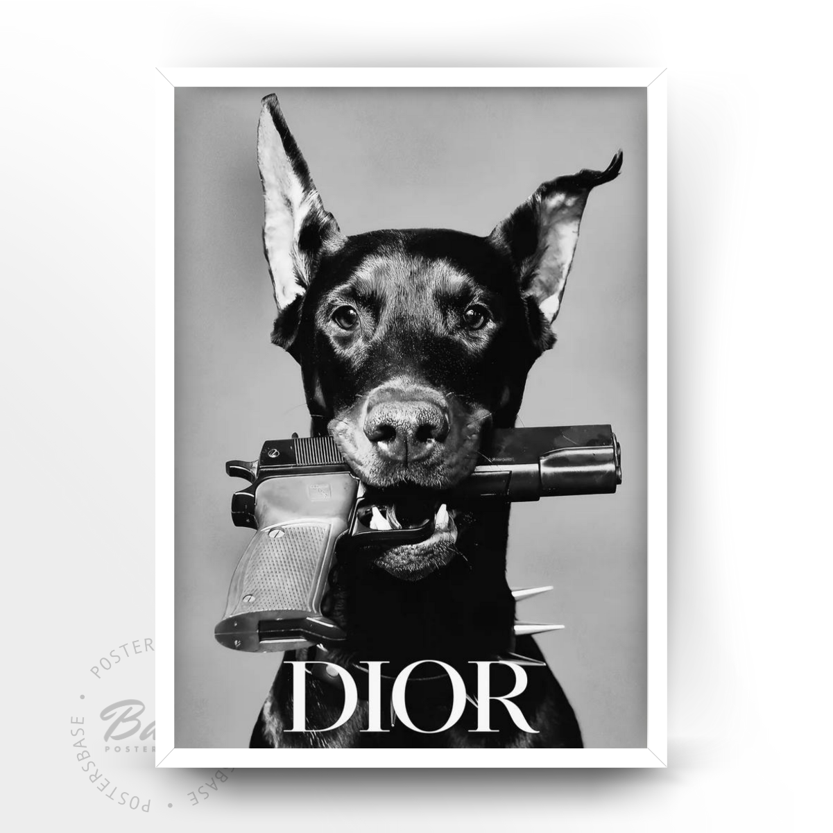 Dior Dog