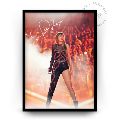 Taylor Swift Concert