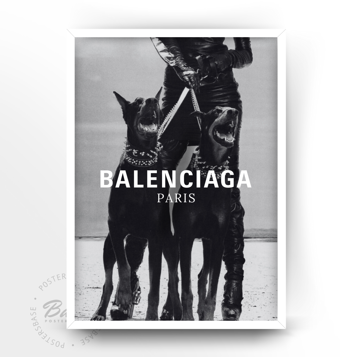 Balenciaga Dogs