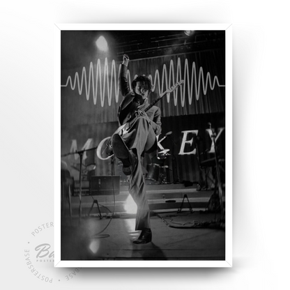 Arctic Monkeys Concert