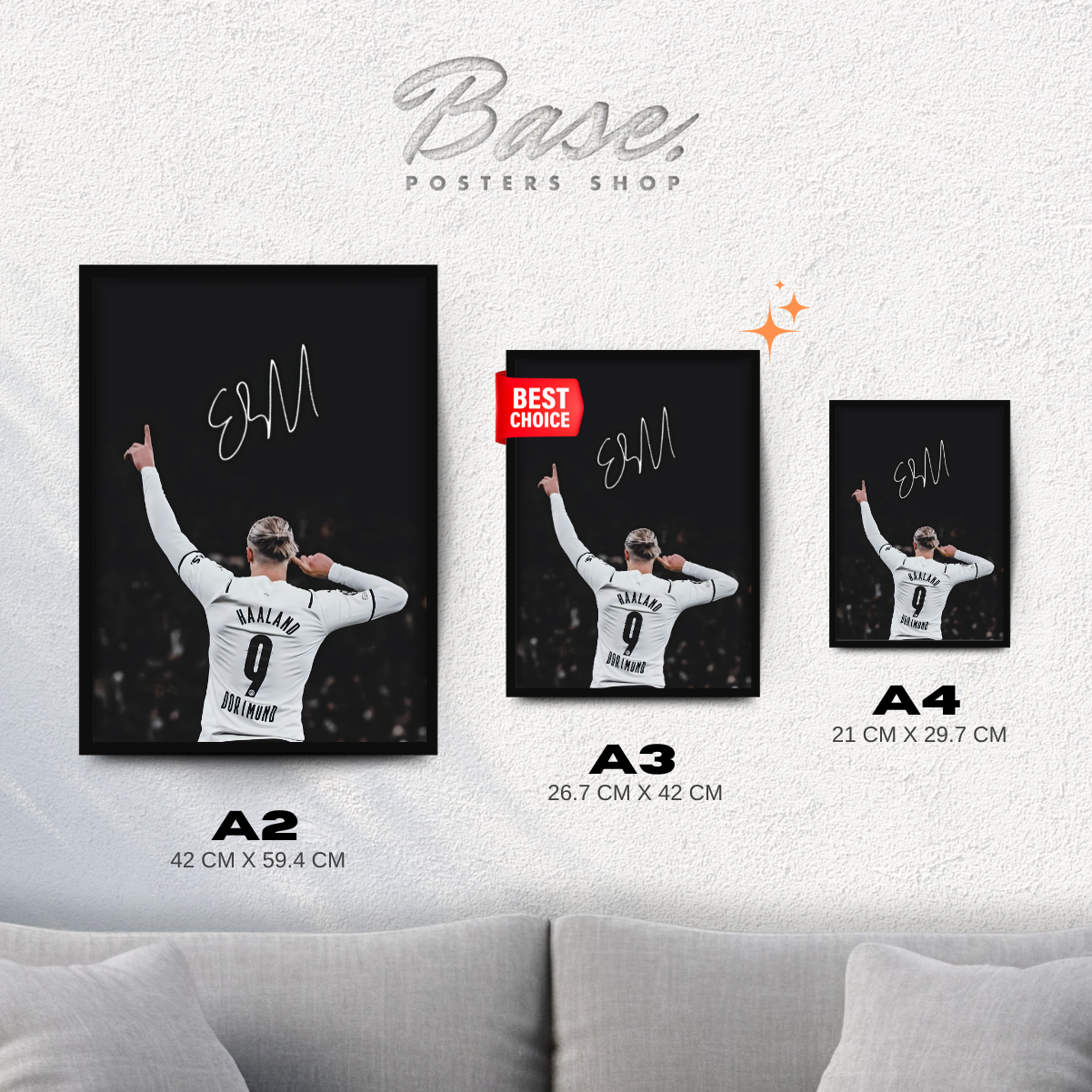 Erling Haaland Sign